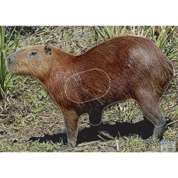 Blason Animalier LCC  PG capybara 1