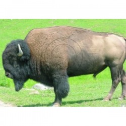 Blason Animalier LCC GG bison