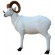 SRT Le Mouflon blanc