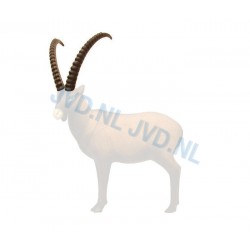 SRT Corne ibex