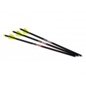 3 Traits Excalibur Carbon Quill 16.5" Illuminated